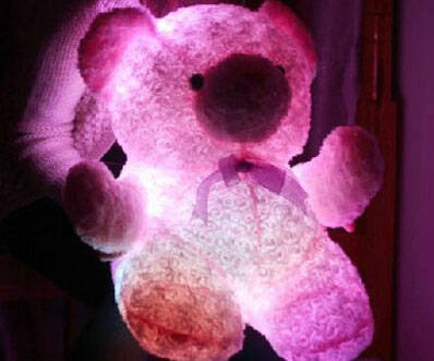 Light Up Teddy Bear