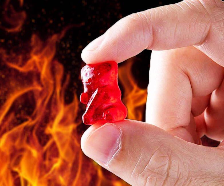 The World's Hottest Gummy Bear - //coolthings.us