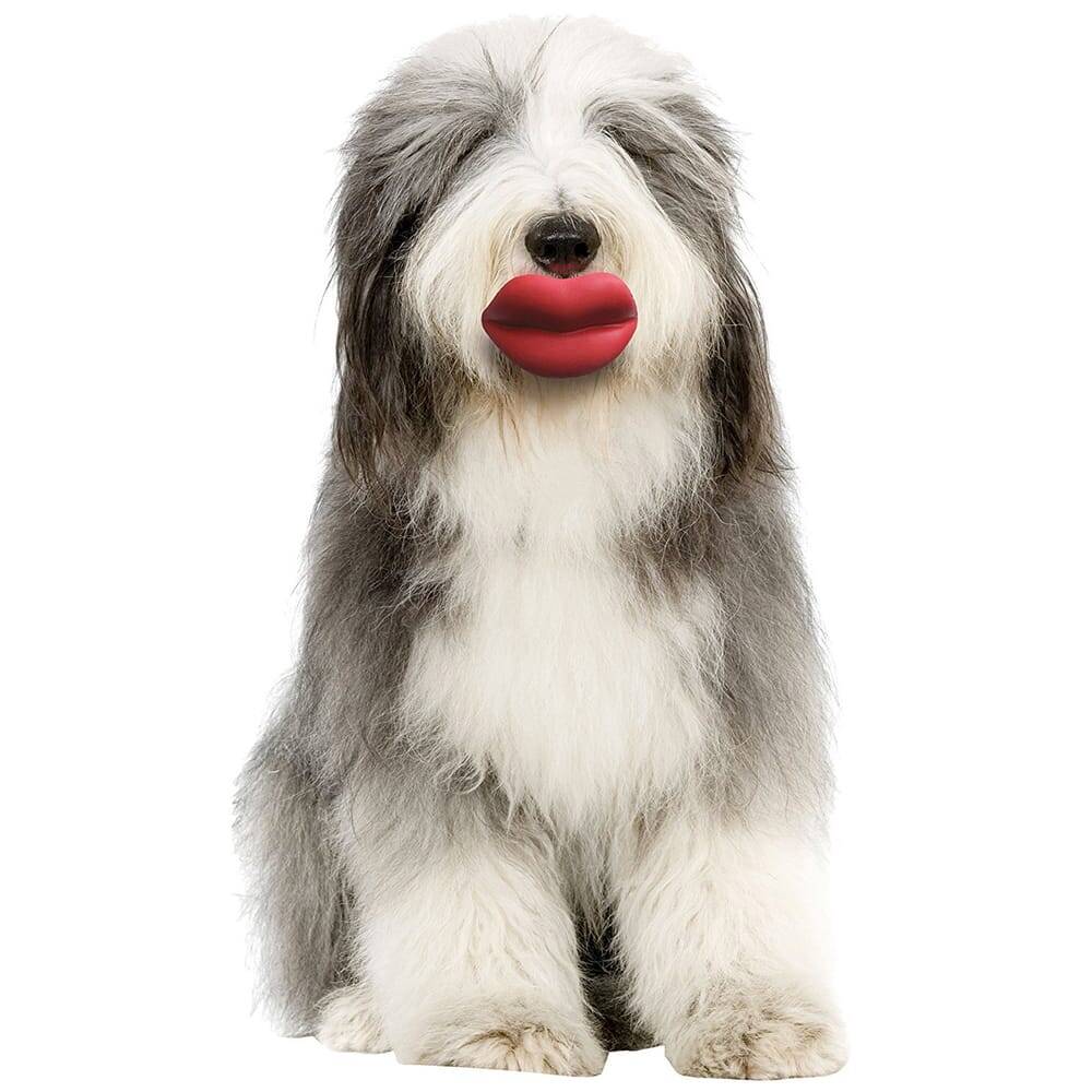 Lips Dog Toy - coolthings.us