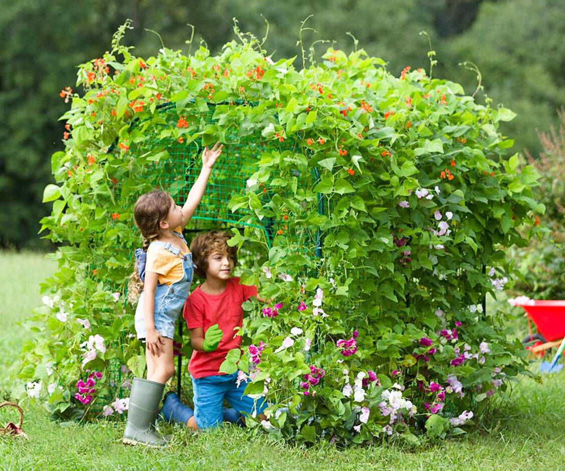 Living Garden Fort - coolthings.us