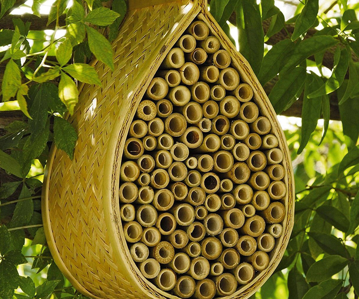 Mason Bee House - coolthings.us