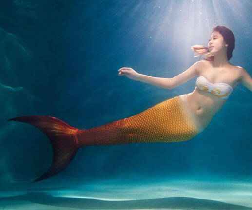 Mermaid Tail Swimsuit