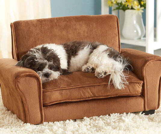 Miniature Couch For Dogs - coolthings.us