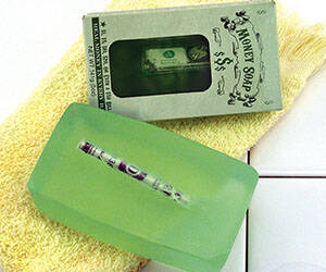 Money Filled Soap Bar