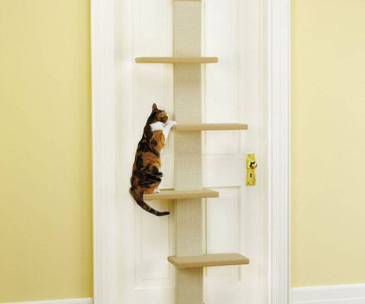 Multi Level Cat Climber - //coolthings.us