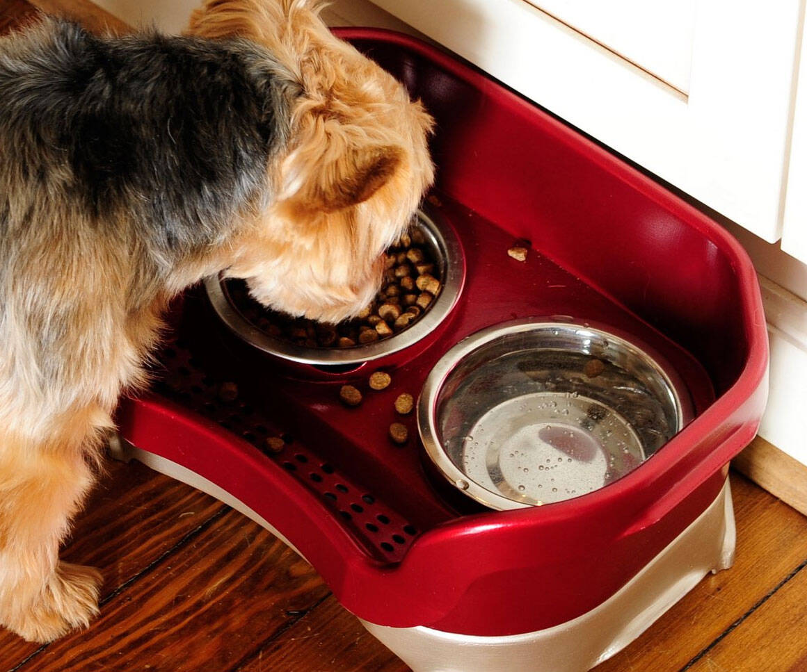 Mess Proof Elevated Pet Bowls - //coolthings.us