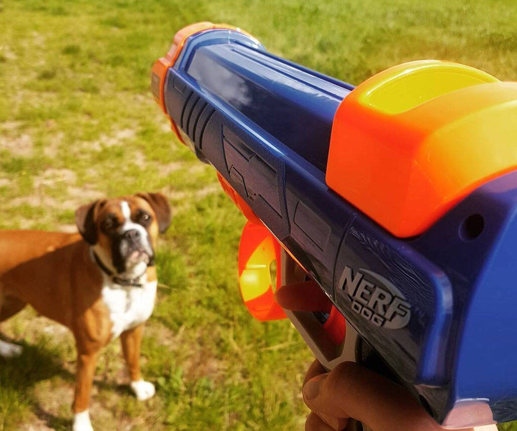 NERF Dog Tennis Ball Blaster