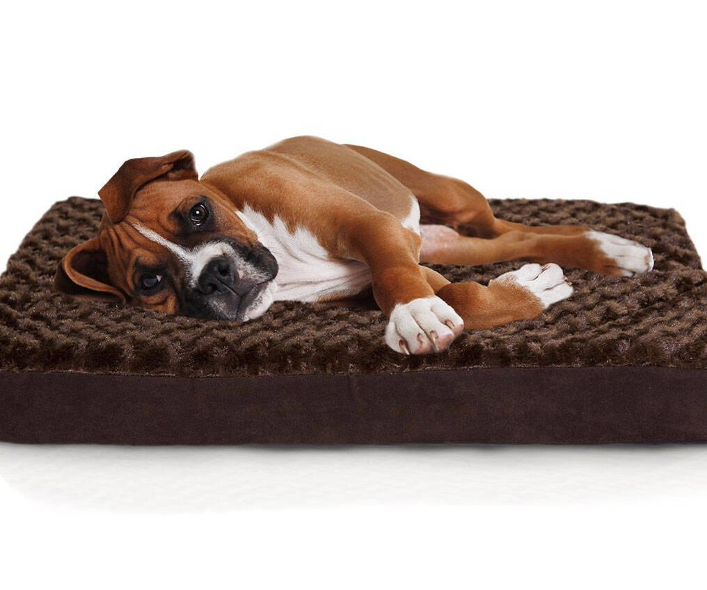 Orthopedic Mattress Pet Bed - coolthings.us