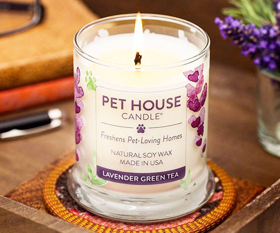 Pet Odor Eliminating Candle - //coolthings.us