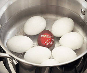 Perfect Hard Boiled Egg Timer - //coolthings.us