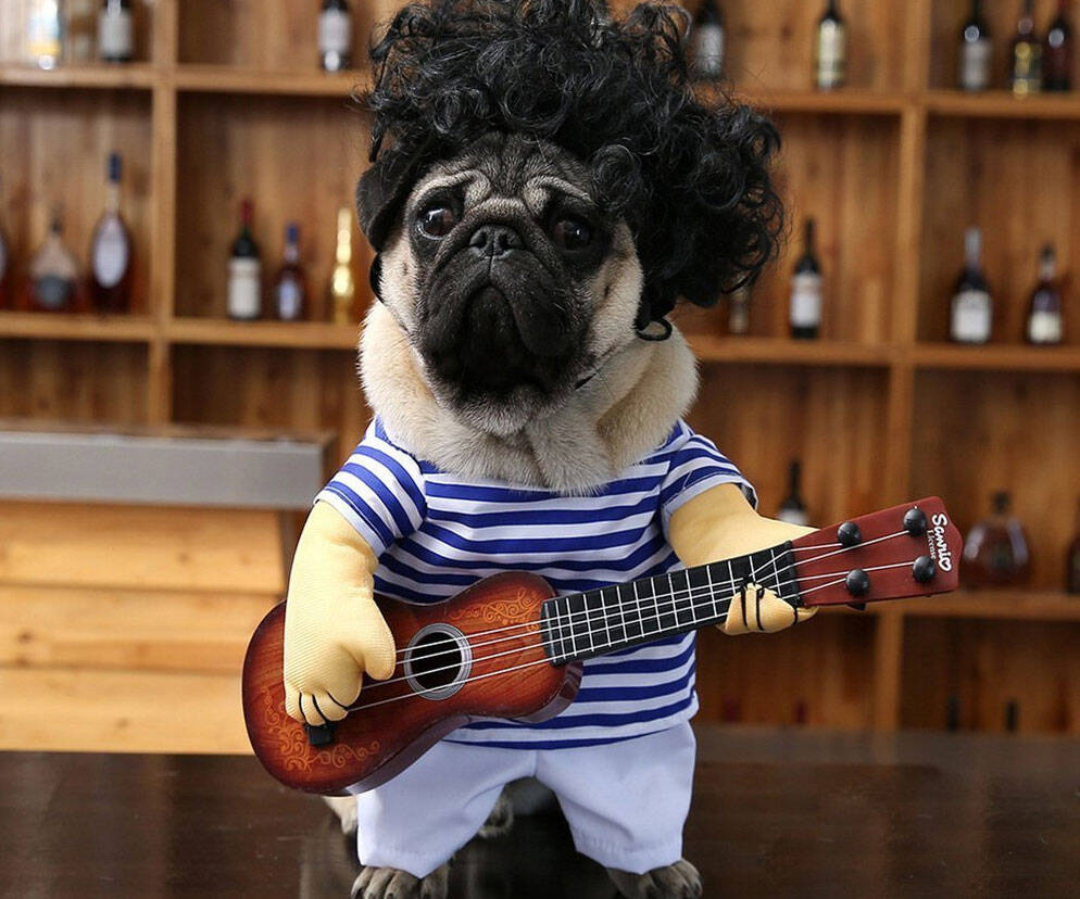 Guitar Player Pet Costume