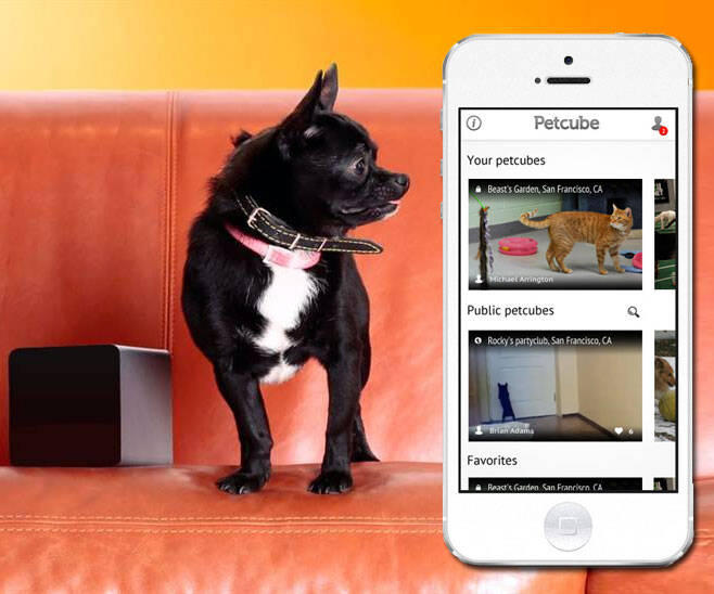 Petcube - Remote Interactive Pet Toy