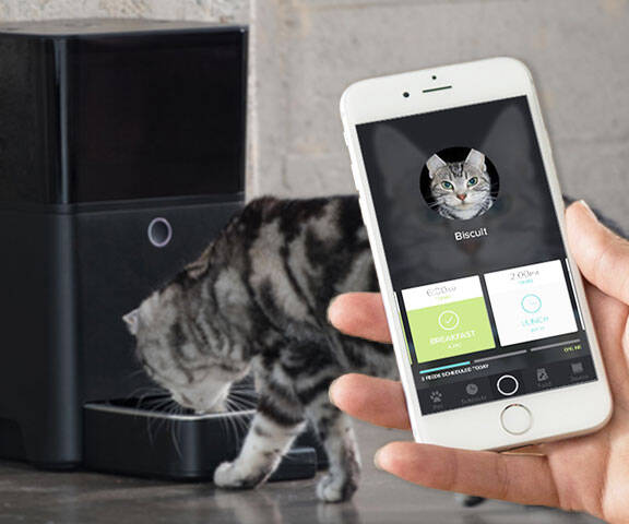 App Controlled Automatic Pet Feeder - //coolthings.us