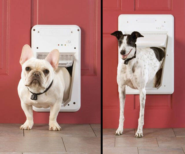 PetSafe SmartDoor - //coolthings.us