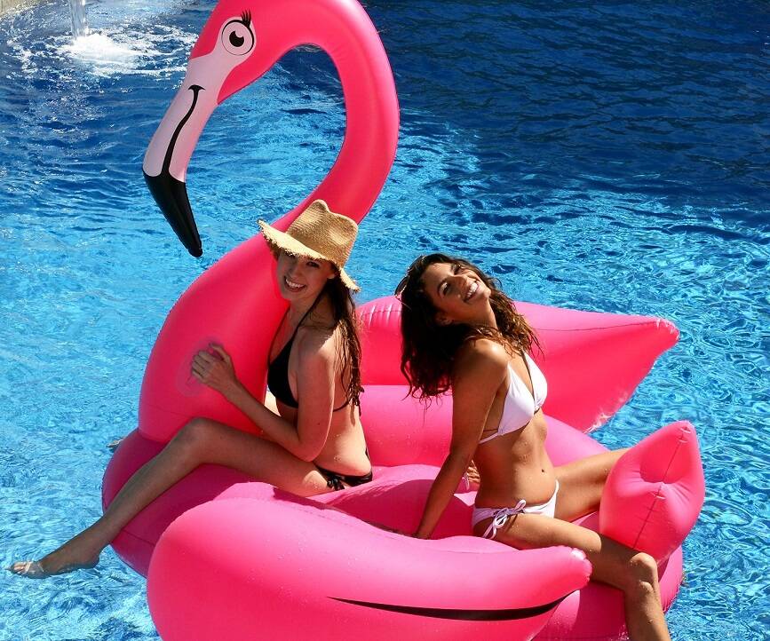 Gigantic Pink Flamingo Float