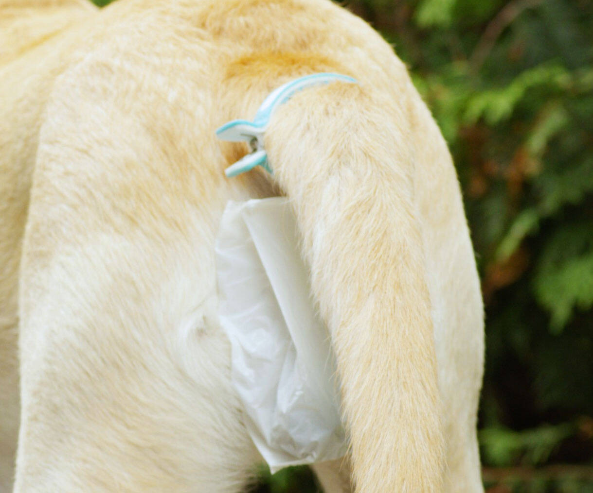 Hands-Free Dog Poop Collector - coolthings.us