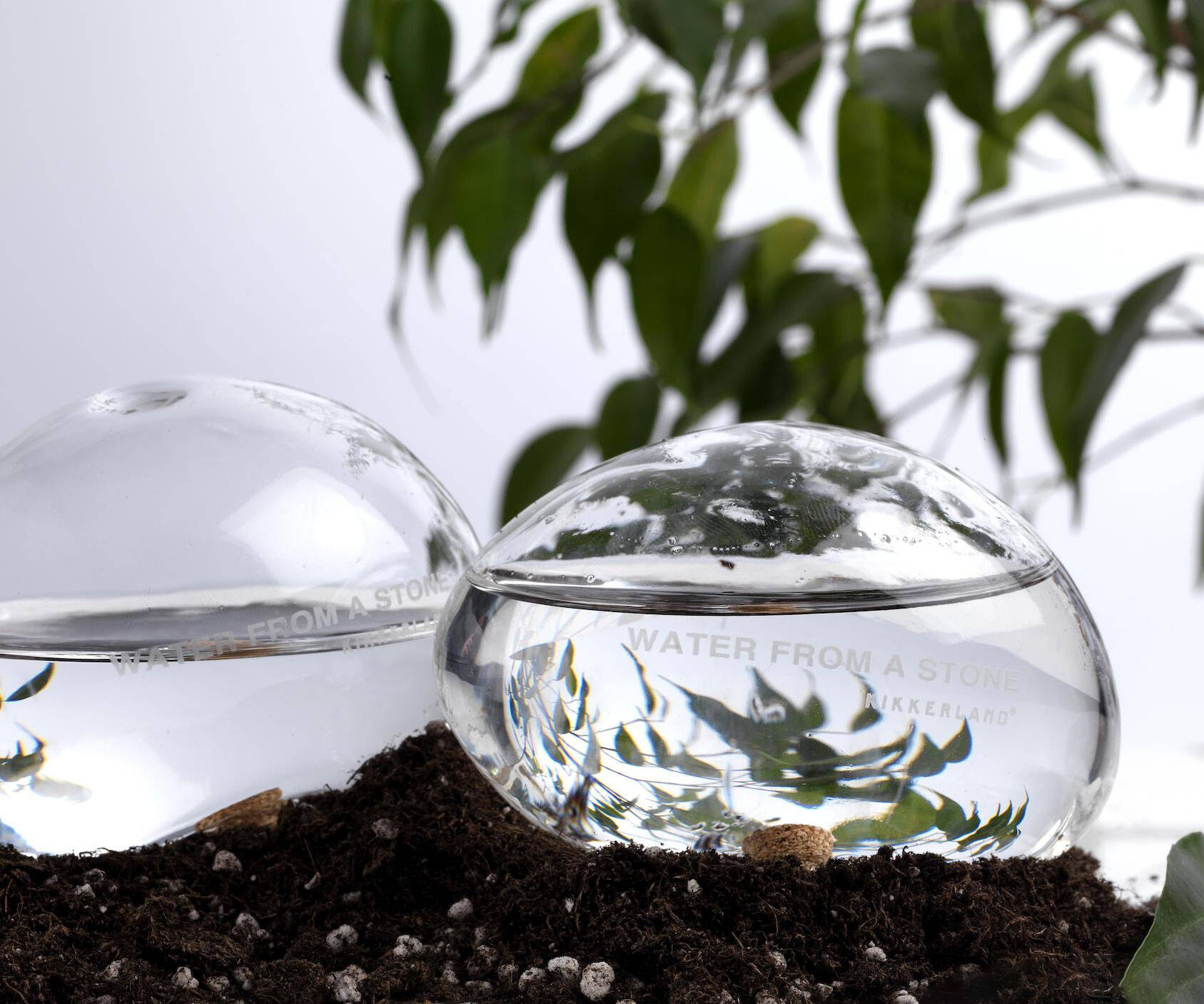 Automatic Self-Watering Plant Globes - //coolthings.us