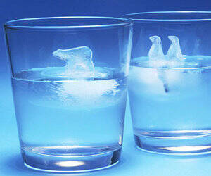 Polar Bear Ice Cube Molds