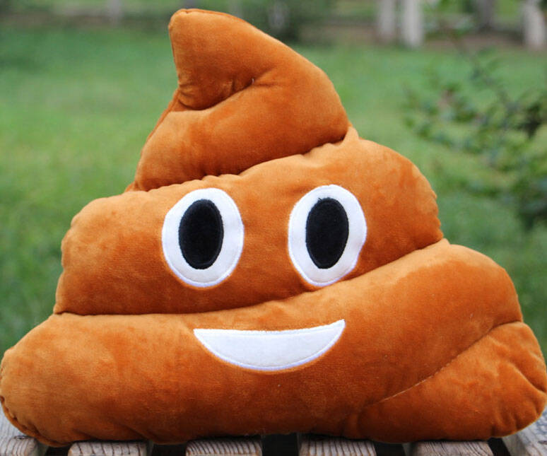 Poop Emoji Pillow