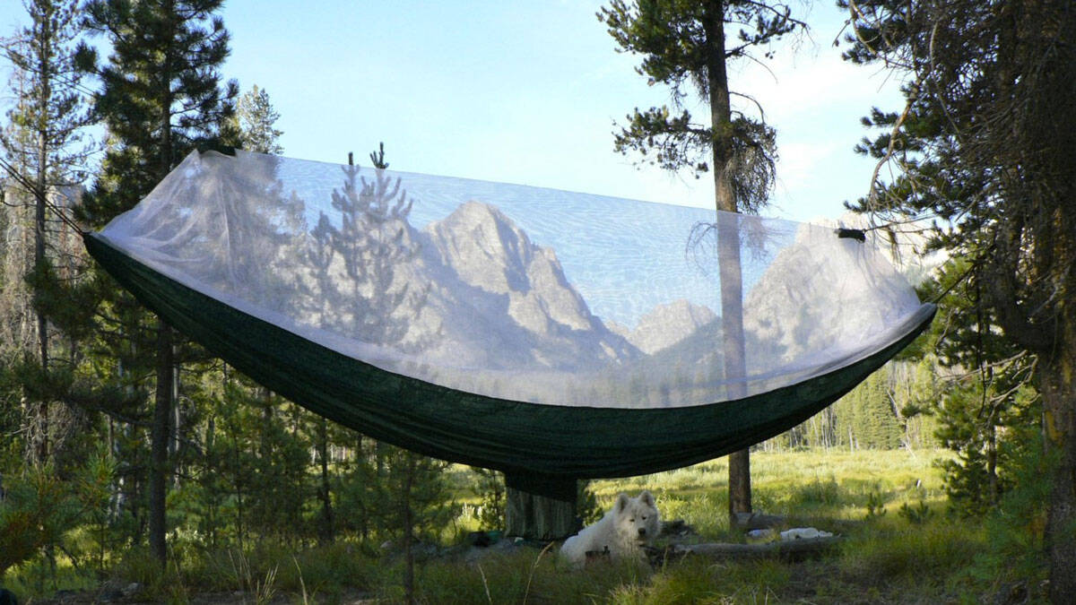 Netted Cocoon Hammock