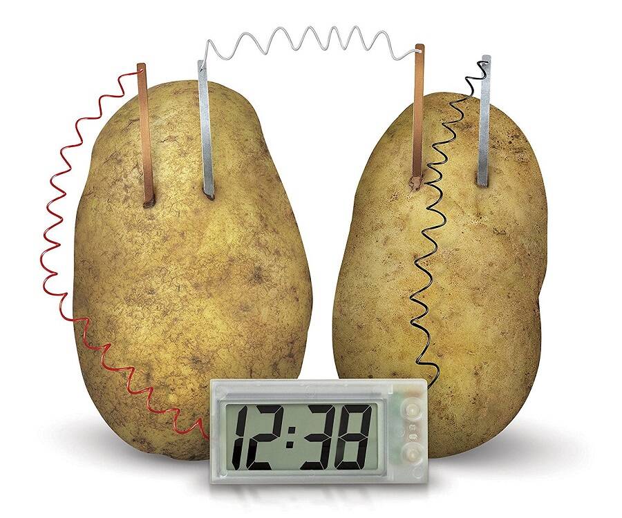 Potato Clock Science Kit - //coolthings.us