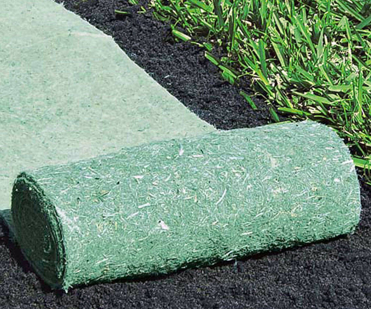 Pre-Seeded Roll Out Sunflower Mat - coolthings.us
