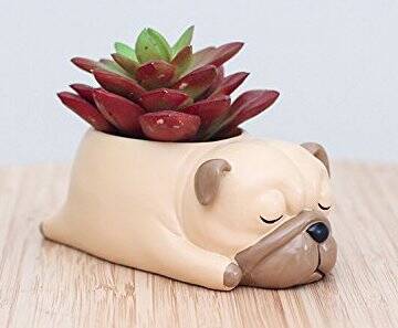 Pug Planter - //coolthings.us