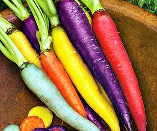 Rainbow Carrot Seeds - //coolthings.us