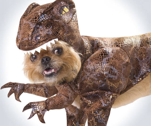 Raptor Dog Costume