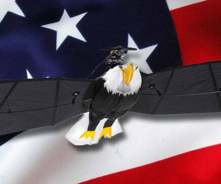 Remote Control Flying Bald Eagle - coolthings.us