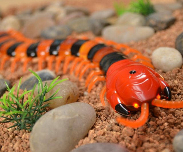 Remote Control Centipede - coolthings.us