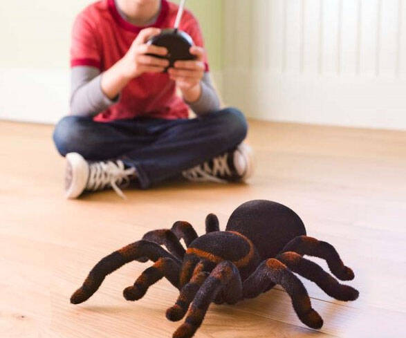 Remote Control Tarantula Spider - //coolthings.us