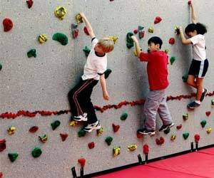 Rock Climbing Wall Panels