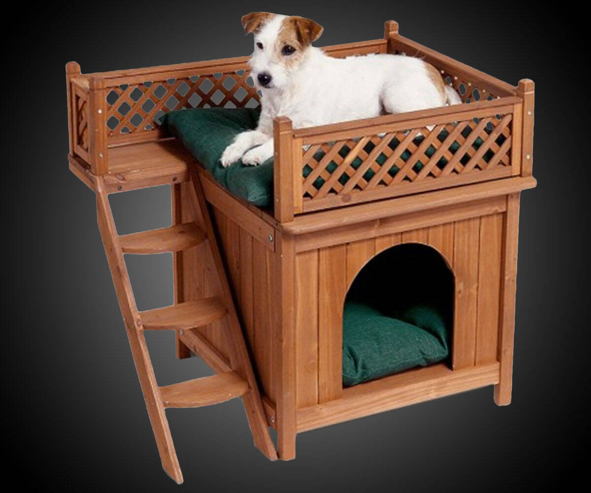 Dog Bunk Bed - //coolthings.us