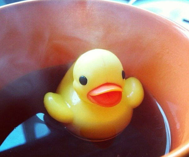 Rubber Duckie Tea Infuser - //coolthings.us