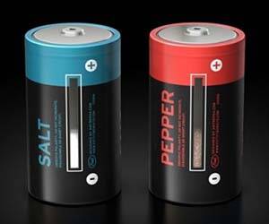 Salt and Pepper Batteries - coolthings.us