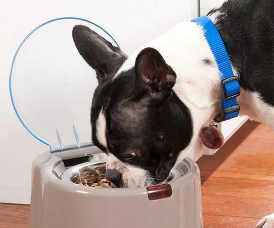 Selective Bowl Feeder