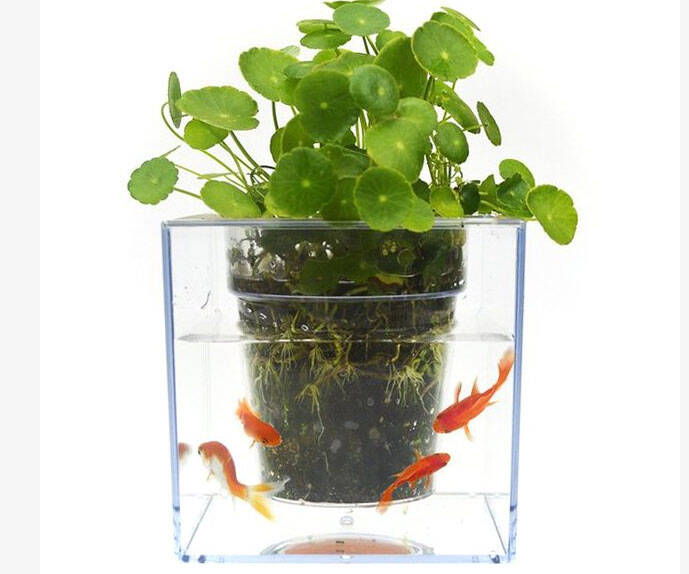 Self-Watering Fish Tank Flowerpot - coolthings.us