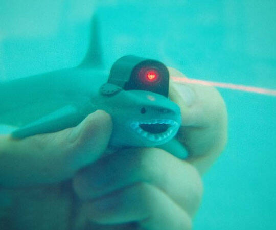 Shark Laser Pointer - coolthings.us