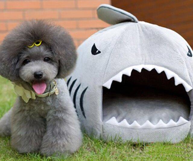 Shark Puppy Bed