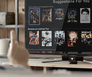 Home Gesture Control System