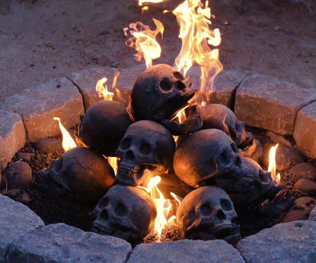 Skull Gas Fireplace Logs - coolthings.us