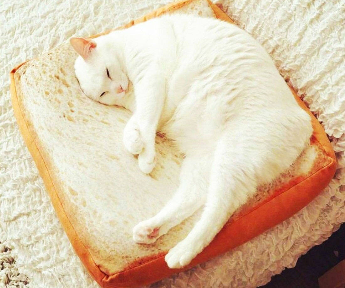 Slice Of Bread Cat Bed - //coolthings.us