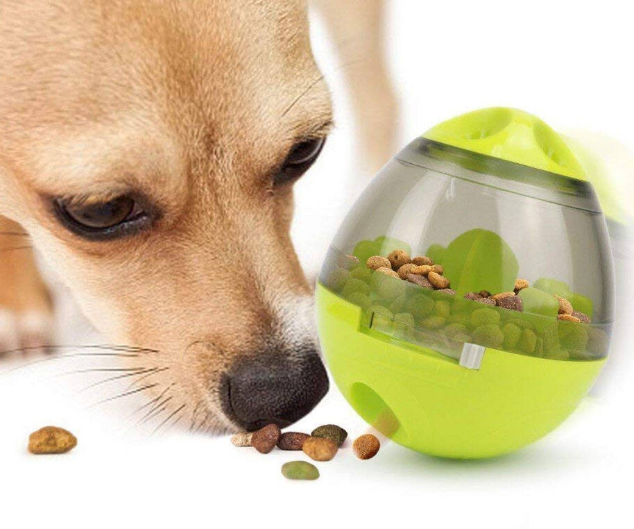 Slow Feeder Pet Food Ball - coolthings.us