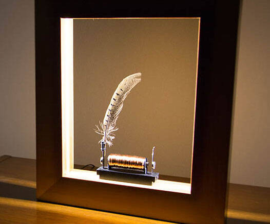 Slow Motion Picture Frame - coolthings.us