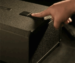 Smart Vault Biometric Safe - coolthings.us