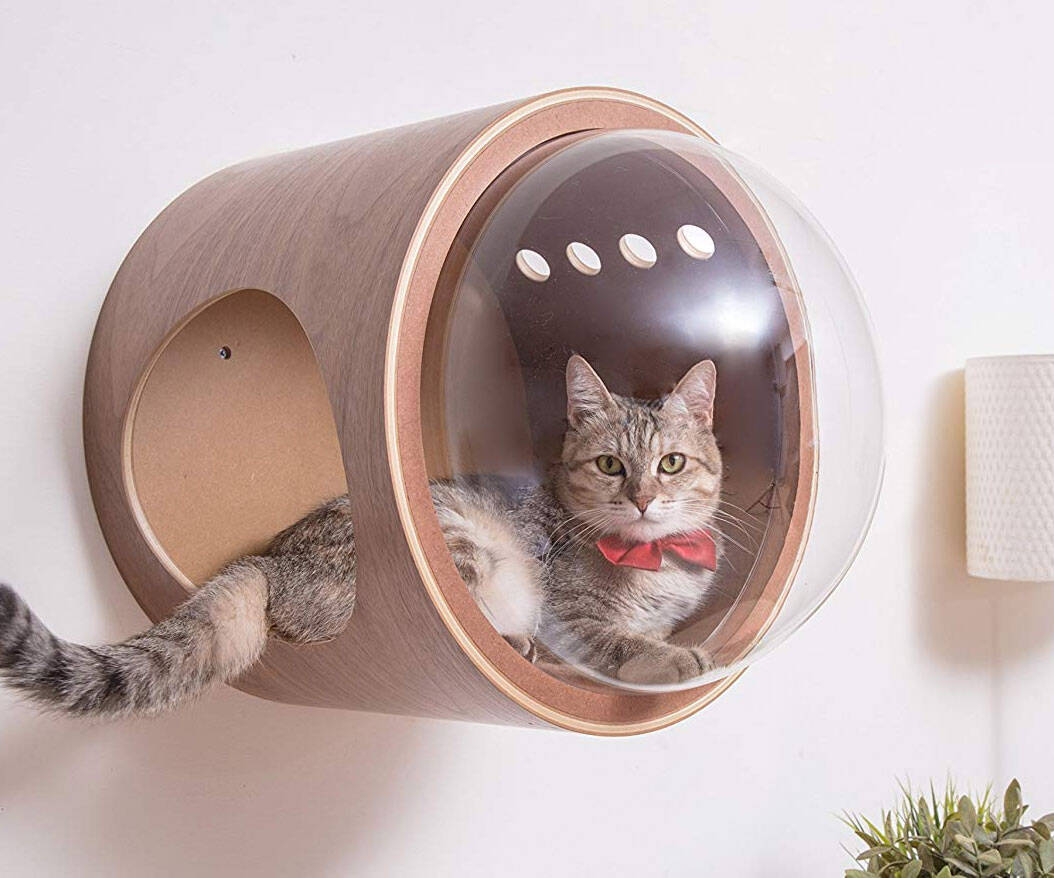 Spaceship Cat Beds