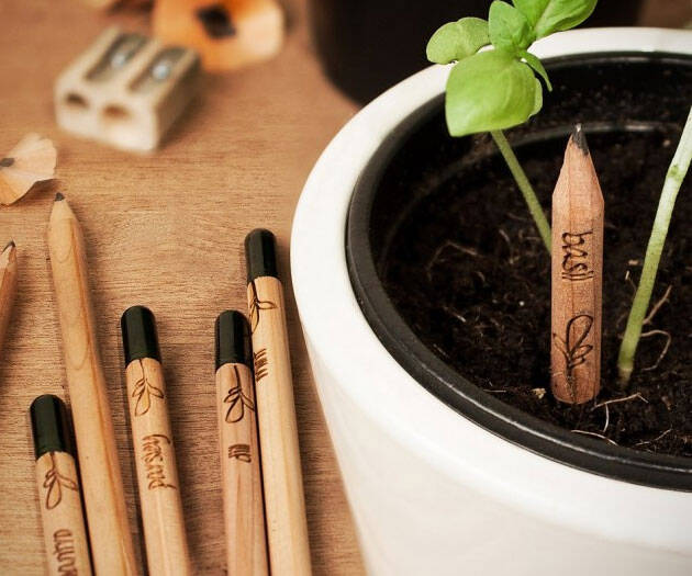 Sprout Pencils - coolthings.us