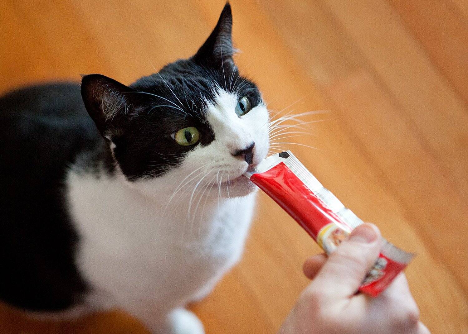 Yogurt Squeeze Pops For Cats - //coolthings.us