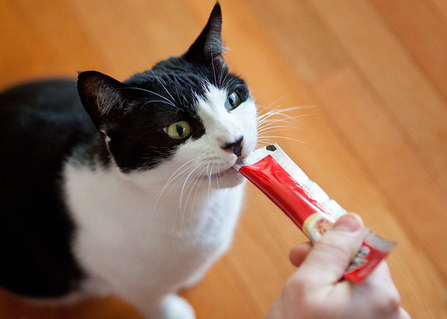 Yogurt Squeeze Pops For Cats